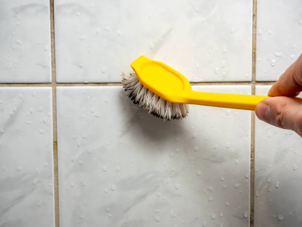 Best Residential Mold Remediation in Scottville, MI