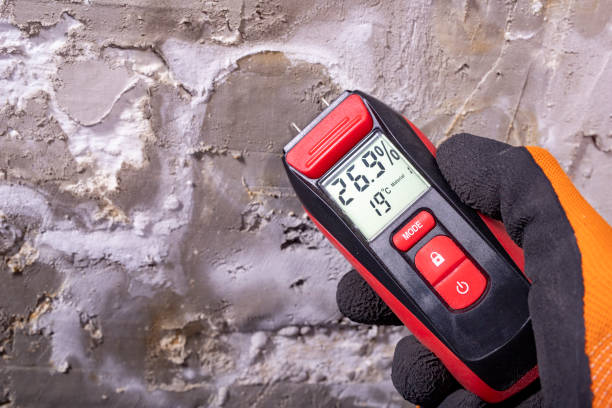 Best Preventive Mold Services in Scottville, MI