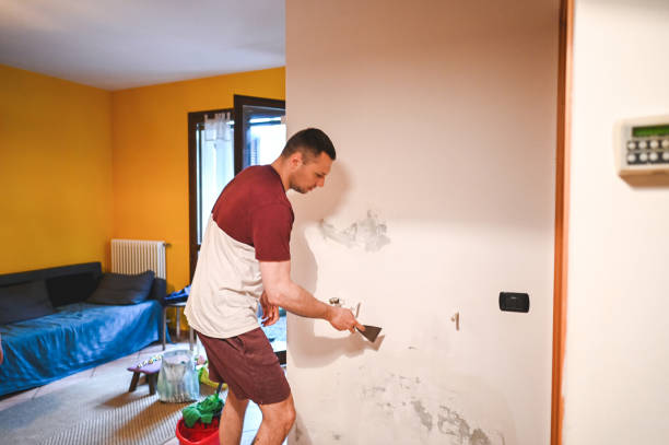 Best Mold Testing and Inspection Services in Scottville, MI